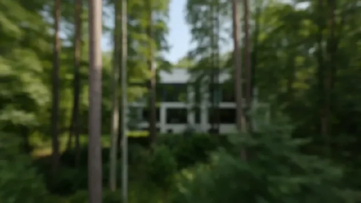 Through The Window Drone AI video template example